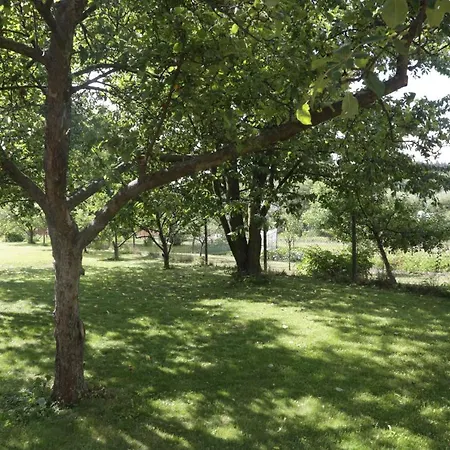 River Side Near Besenova Üdülőközpont *